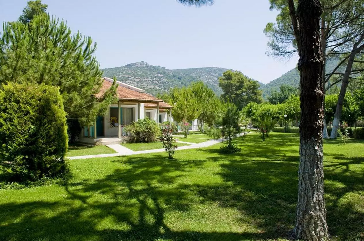 KUSTUR_SHABAVIZ (4).jpg